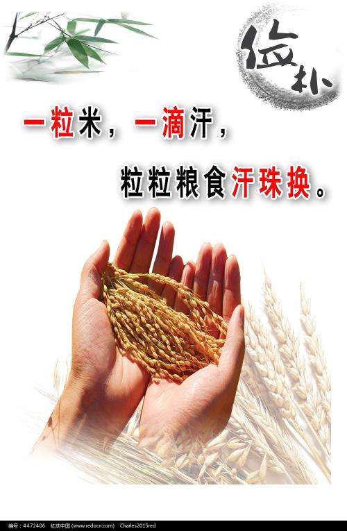 个人不动产权证内容图片